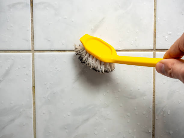 Best Insurance-Related Mold Remediation in East Canton, OH
