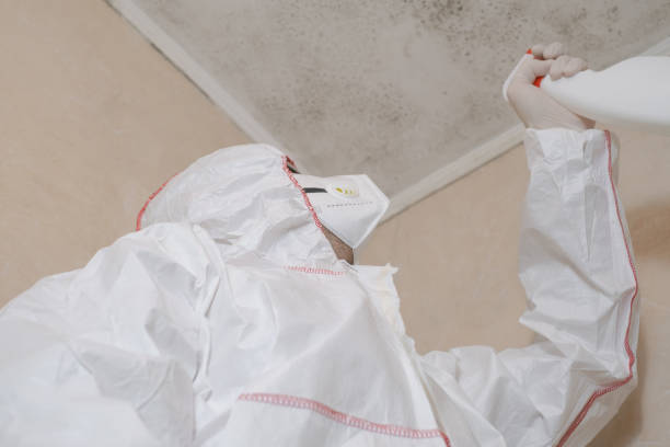 Best Bathroom Mold Remediation in East Canton, OH