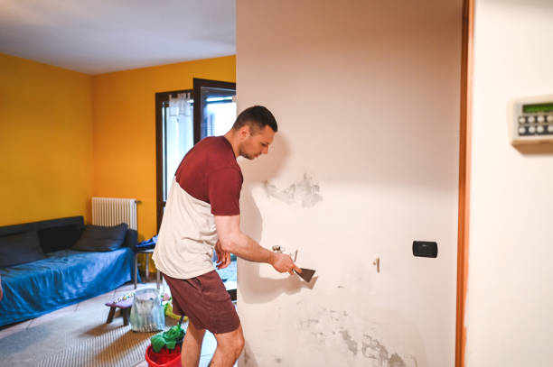 Best Post-Flood Mold Remediation in East Canton, OH